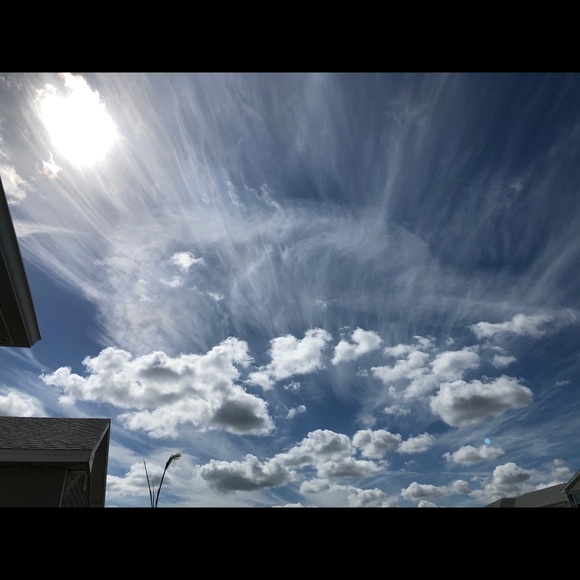 Meet your Posher, Sara - Picture 1 of 1